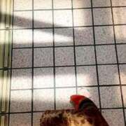 ヒメ日記 2025/07/01 12:45 投稿 さくら 熟女の風俗最終章 町田店