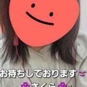 ヒメ日記 2025/11/02 10:20 投稿 さくら 熟女の風俗最終章 町田店