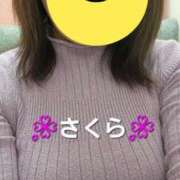 ヒメ日記 2025/11/07 11:07 投稿 さくら 熟女の風俗最終章 町田店