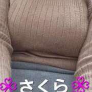 ヒメ日記 2025/11/09 12:01 投稿 さくら 熟女の風俗最終章 町田店