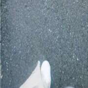 ヒメ日記 2025/11/17 12:23 投稿 さくら 熟女の風俗最終章 町田店