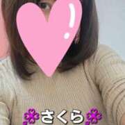 ヒメ日記 2025/11/30 11:50 投稿 さくら 熟女の風俗最終章 町田店