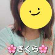 ヒメ日記 2026/05/12 12:40 投稿 さくら 熟女の風俗最終章 町田店