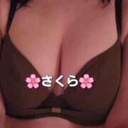 ヒメ日記 2026/05/17 17:26 投稿 さくら 熟女の風俗最終章 町田店