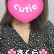 ヒメ日記 2026/05/23 12:56 投稿 さくら 熟女の風俗最終章 町田店