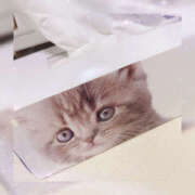 ヒメ日記 2025/05/09 17:29 投稿 ぴの 恋愛生欲情の扉