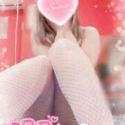 ヒメ日記 2025/04/02 00:18 投稿 ミオ バニーコレクション秋田店