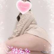 ヒメ日記 2025/04/02 07:57 投稿 ミオ バニーコレクション秋田店