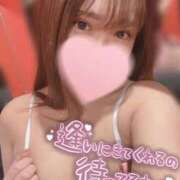 ヒメ日記 2025/04/03 09:12 投稿 ミオ バニーコレクション秋田店