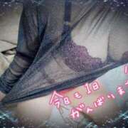 ヒメ日記 2025/04/20 16:09 投稿 みづき 石川小松ちゃんこ