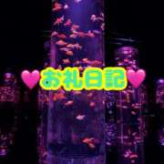 ヒメ日記 2025/04/11 14:57 投稿 りあ 茨城神栖ちゃんこ