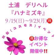 ヒメ日記 2024/09/15 12:14 投稿 熟女 あい ハナミズキ