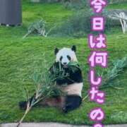 ヒメ日記 2025/05/06 17:03 投稿 ♡ナァ♡ ラブ♡エル