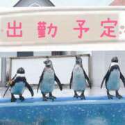 ヒメ日記 2025/05/26 20:30 投稿 ♡ナァ♡ ラブ♡エル