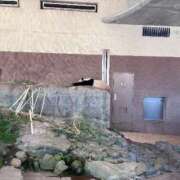 ヒメ日記 2025/06/09 19:38 投稿 ♡ナァ♡ ラブ♡エル