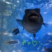 ヒメ日記 2025/07/12 22:02 投稿 ♡ナァ♡ ラブ♡エル