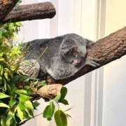 ヒメ日記 2025/11/29 20:31 投稿 ♡ナァ♡ ラブ♡エル