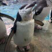 ヒメ日記 2026/03/21 09:14 投稿 ♡ナァ♡ ラブ♡エル