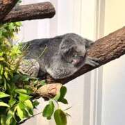 ヒメ日記 2026/03/30 12:31 投稿 ♡ナァ♡ ラブ♡エル