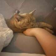 ヒメ日記 2024/12/30 12:37 投稿 ひかる 男爵