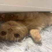 ヒメ日記 2025/08/31 08:37 投稿 ひかる 男爵