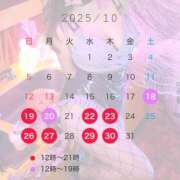 ヒメ日記 2025/10/17 14:05 投稿 ひかる 男爵