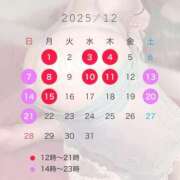 ヒメ日記 2025/11/26 20:00 投稿 ひかる 男爵