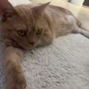 ヒメ日記 2025/12/09 13:54 投稿 ひかる 男爵