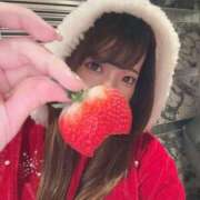 ヒメ日記 2025/12/14 17:23 投稿 ひかる 男爵