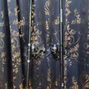 ヒメ日記 2025/12/03 00:29 投稿 あむ 石川小松ちゃんこ