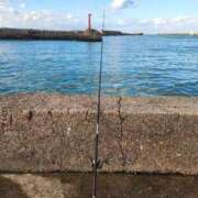 ヒメ日記 2025/12/09 18:40 投稿 あむ 石川小松ちゃんこ