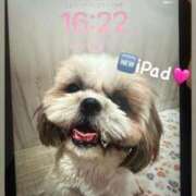 ヒメ日記 2025/01/11 12:25 投稿 マオ 池袋デリヘル倶楽部