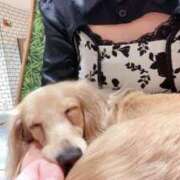 ヒメ日記 2025/03/22 12:45 投稿 マオ 池袋デリヘル倶楽部