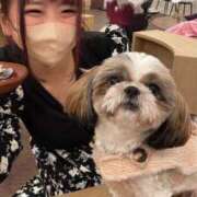 ヒメ日記 2025/05/29 17:25 投稿 マオ 池袋デリヘル倶楽部