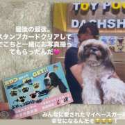 ヒメ日記 2025/06/27 13:25 投稿 マオ 池袋デリヘル倶楽部