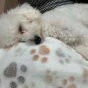 ヒメ日記 2025/11/03 14:15 投稿 マオ 池袋デリヘル倶楽部