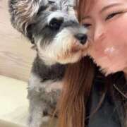 マオ 【🐶明日！】 池袋デリヘル倶楽部