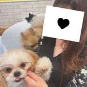 ヒメ日記 2025/12/12 16:45 投稿 マオ 池袋デリヘル倶楽部