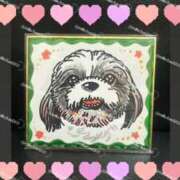 ヒメ日記 2025/12/13 18:16 投稿 マオ 池袋デリヘル倶楽部