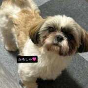 ヒメ日記 2026/01/20 17:05 投稿 マオ 池袋デリヘル倶楽部