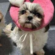 ヒメ日記 2026/01/23 19:06 投稿 マオ 池袋デリヘル倶楽部