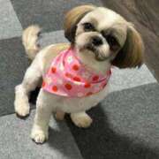 ヒメ日記 2026/01/28 16:25 投稿 マオ 池袋デリヘル倶楽部