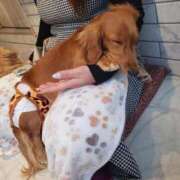 ヒメ日記 2026/02/21 14:45 投稿 マオ 池袋デリヘル倶楽部