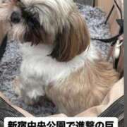 ヒメ日記 2026/03/18 15:25 投稿 マオ 池袋デリヘル倶楽部