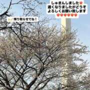 ヒメ日記 2026/03/24 19:15 投稿 マオ 池袋デリヘル倶楽部