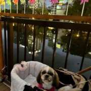 ヒメ日記 2026/03/28 19:05 投稿 マオ 池袋デリヘル倶楽部