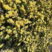 ヒメ日記 2026/04/23 18:10 投稿 マオ 池袋デリヘル倶楽部