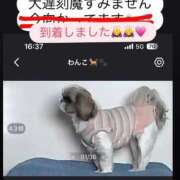 ヒメ日記 2026/06/27 17:25 投稿 マオ 池袋デリヘル倶楽部