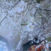 ヒメ日記 2026/03/30 19:17 投稿 みく クリステル