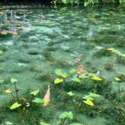 ヒメ日記 2025/09/18 13:56 投稿 新人・ゆき☆不思議なくらいスキ シャブール